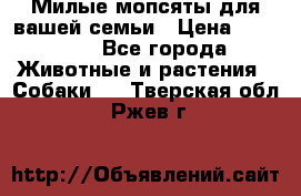 Милые мопсяты для вашей семьи › Цена ­ 20 000 - Все города Животные и растения » Собаки   . Тверская обл.,Ржев г.